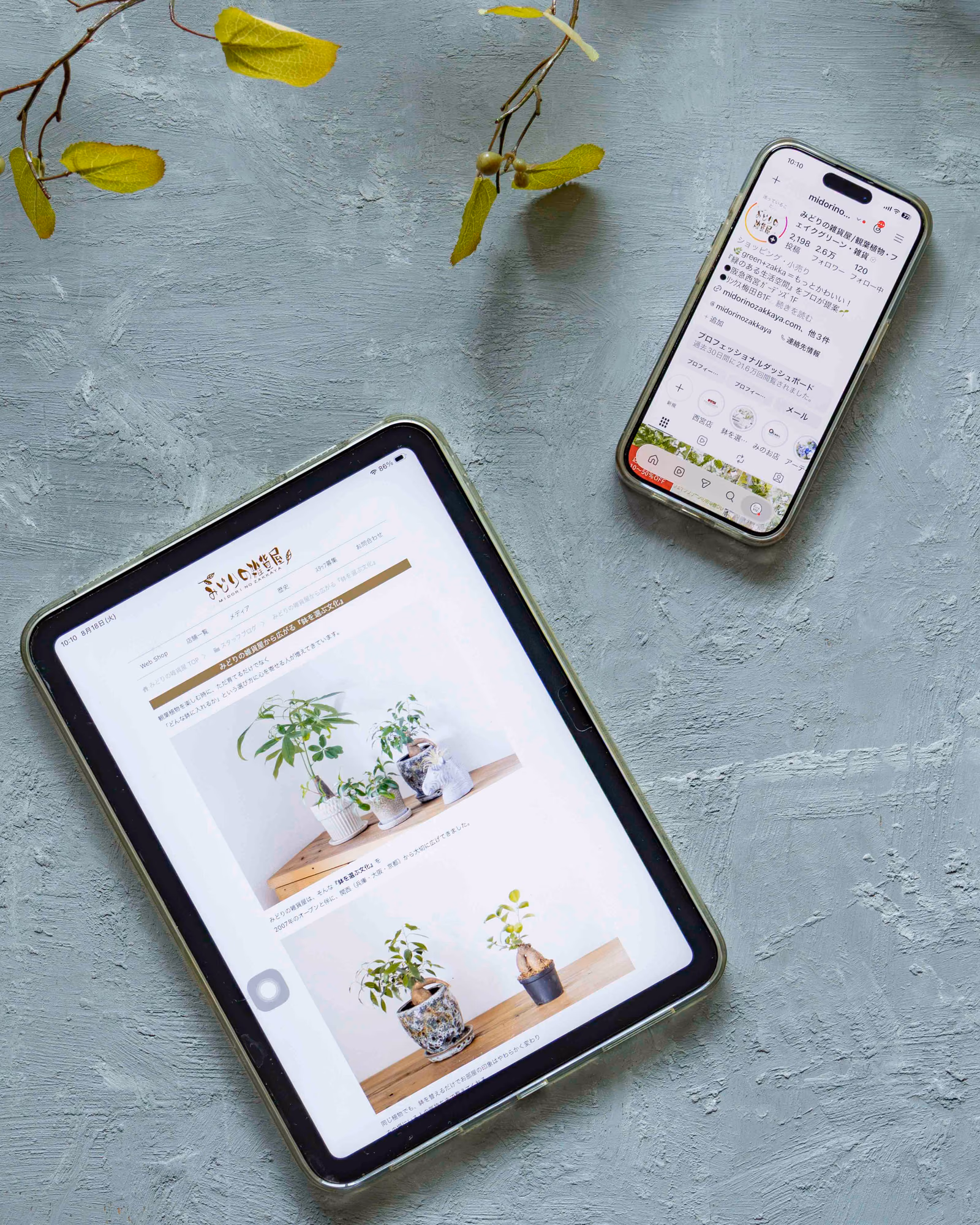 みどりの雑貨屋のWEBサイトとInstagramを表示したスマートフォンとタブレット