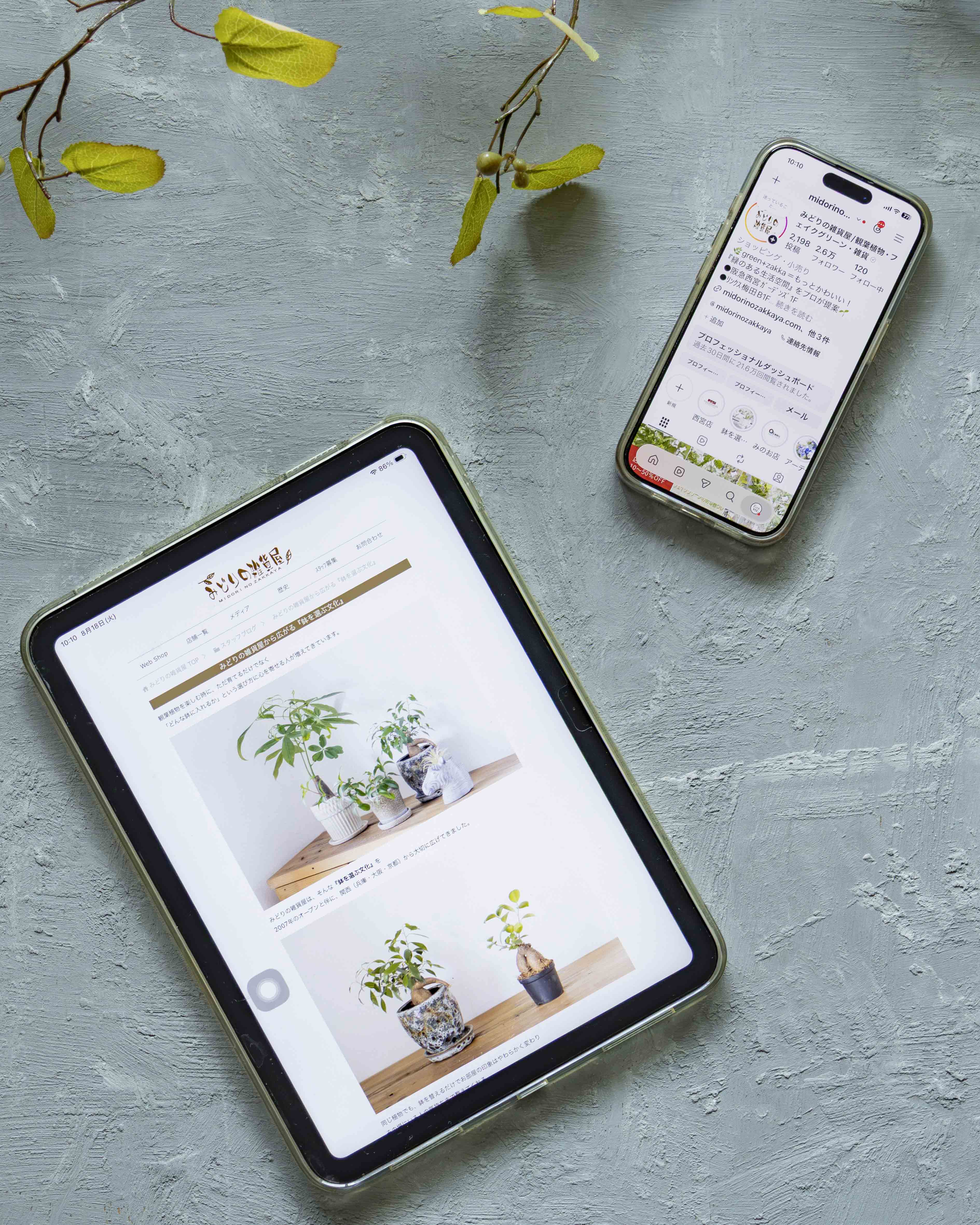みどりの雑貨屋のWEBサイトとInstagramを表示したスマートフォンとタブレット