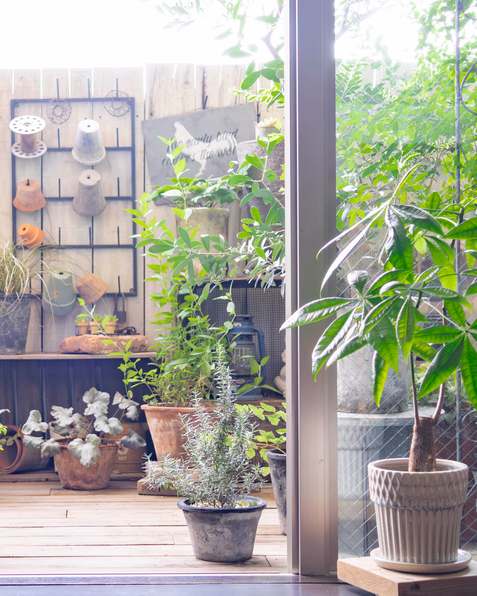 室内から眺めた、鉢植えが並ぶRIKAのベランダ